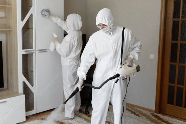 Oceana, WV Mold Remediation Company
