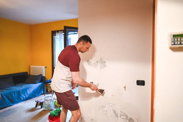 Best Mold Remediation for Schools in Oceana, WV
