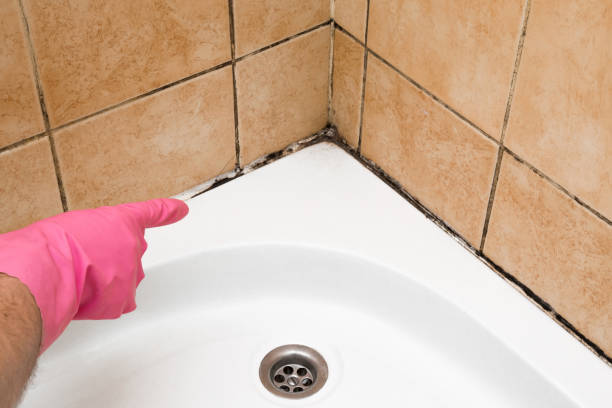 Best Bathroom Mold Remediation in Oceana, WV